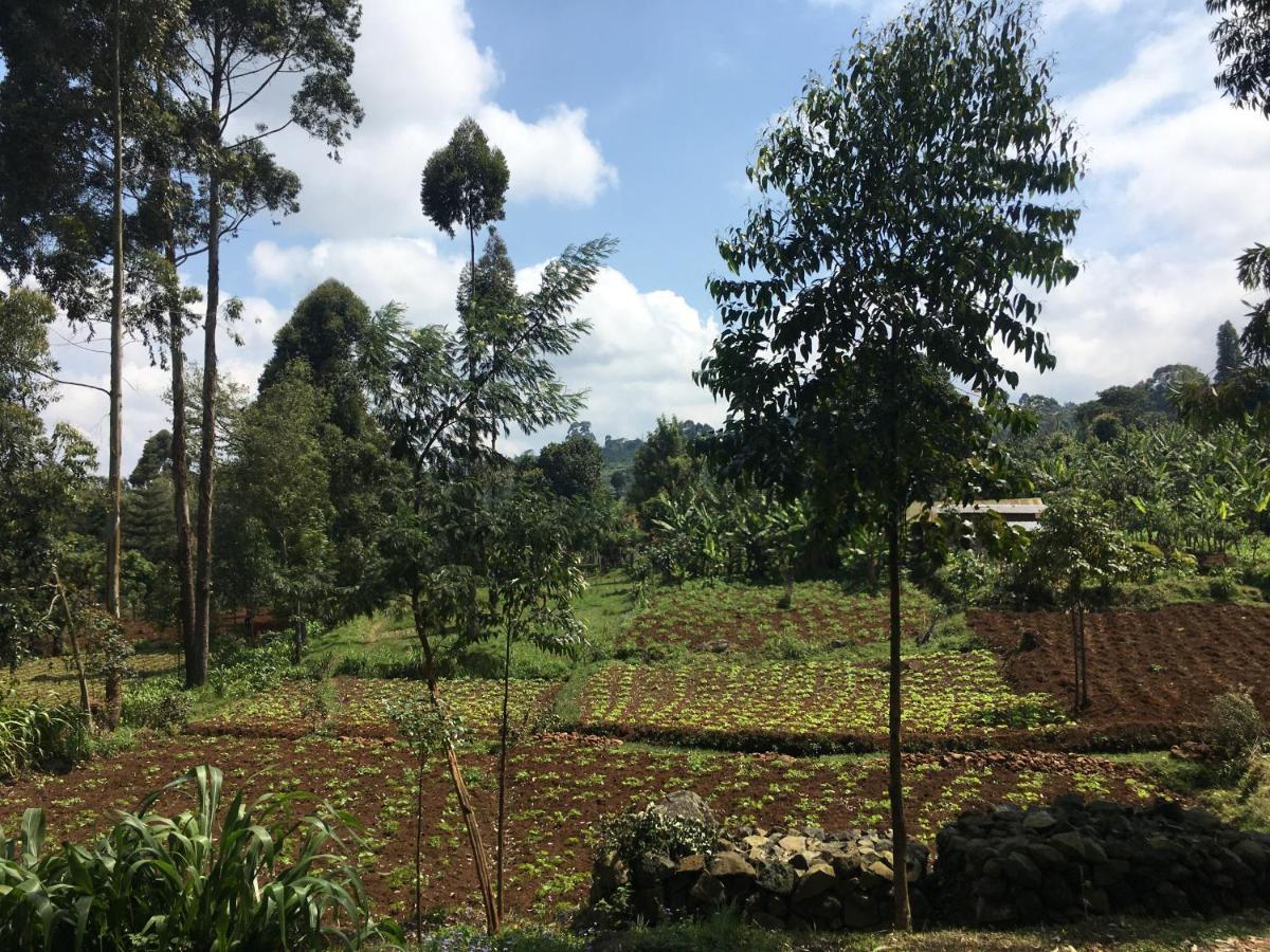 Mai Kilimanjaro Home Stay Marangu Buitenkant foto