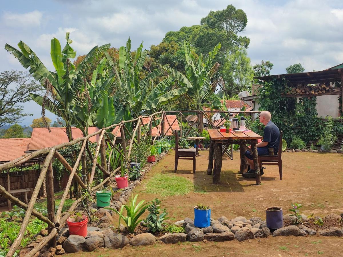 Mai Kilimanjaro Home Stay Marangu Buitenkant foto