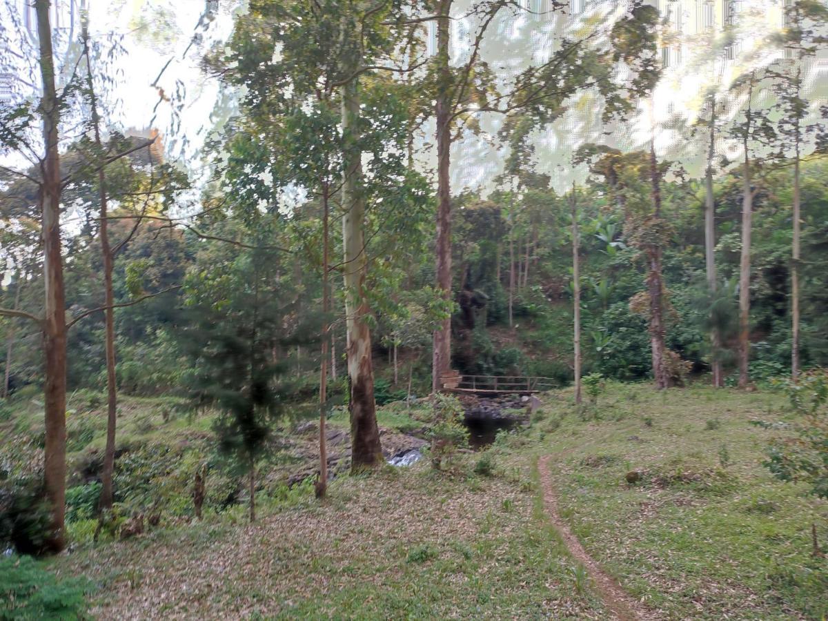 Mai Kilimanjaro Home Stay Marangu Buitenkant foto