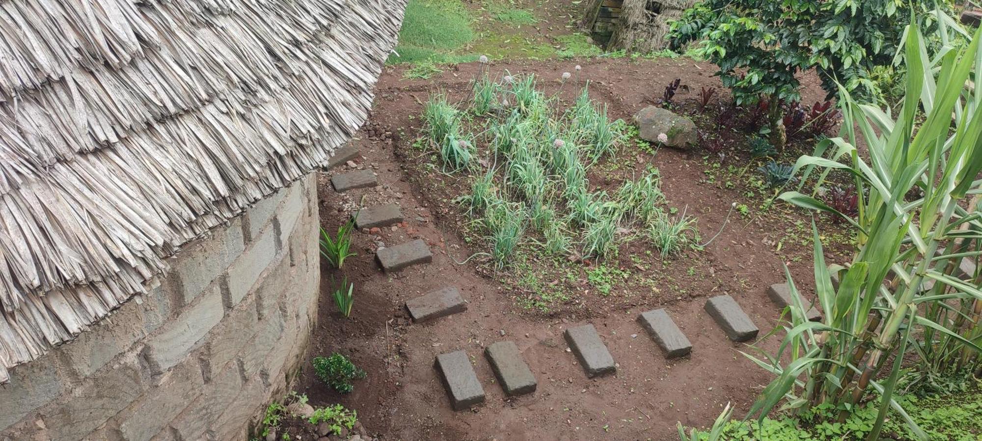 Mai Kilimanjaro Home Stay Marangu Buitenkant foto